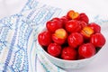 Malpighia glabra (red acerola), tropical fruit in bowl Royalty Free Stock Photo