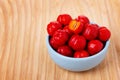 Malpighia glabra (red acerola), tropical fruit Royalty Free Stock Photo