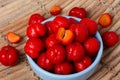 Malpighia glabra red acerola, tropical fruit Royalty Free Stock Photo