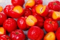 Malpighia glabra (red acerola), tropical fruit Royalty Free Stock Photo