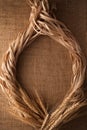 Malt still life rope flax frame sackcloth background Royalty Free Stock Photo