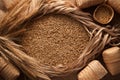 Malt still life rope flax frame sackcloth background Royalty Free Stock Photo