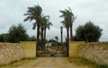 Malta, Dingli, forged gate and palm trees