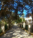 Malta, Floriana (Il-Furjana), Argotti Botanic Gardens and Resource Centre, park alley