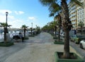 Malta, Gzira, palms on the embankment of the Marsamxett Harbour (Triq Ix - Xatt