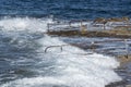 Rough sea in St Paul`s bay, Bugibba, Malta Royalty Free Stock Photo