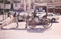 Malta island slima valetta tourists maltese karozzin horse carriage transport traditional Royalty Free Stock Photo