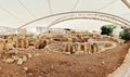 Malta Megalithic Temple of Tarxien