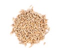 Malted barley grains, isolated on white background. Barley seed close up. Top view. Macro. Royalty Free Stock Photo