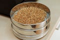 Malted grains in a sorting sieve on the table. Royalty Free Stock Photo