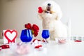 maltese bichon frise dogs are Valentine& x27;s Day celebration dating in the kirchen romantic mood Royalty Free Stock Photo