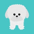 Maltese bichon frise white dog puppy icon. Cute cartoon funny pet baby animal character. Kawaii face icon. Love greeting card.