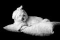 Portrait in studio of bichon maltese