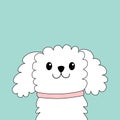 Maltese dog puppy face head. White lapdog. Animal icon set. Cute kawaii cartoon funny character. Pet animal collection. Adopt