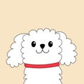 Maltese dog puppy face head. White lapdog. Animal icon set. Cute kawaii cartoon funny character. Pet animal collection. Adopt