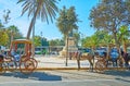 Maltese karozzin horse-drawn carriage, Floriana Royalty Free Stock Photo