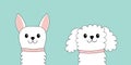 Maltese poodle chihuahua toy terrier dog puppy face head set. White lapdog. Animal icon. Cute kawaii cartoon funny character. Pet