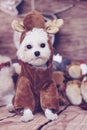 Maltese puppy reindeer