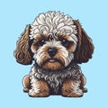 Maltipoo dog vector illustration isolated on a plain background