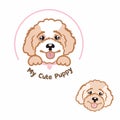 Maltipoo poodle puppy logo vector template for veterinery pet clinic or zoo