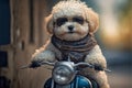 Maltipoo Puppy With Sunglasses Riding a Motorcycle - AI Generative