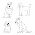 Maltipoo, shepherd, poodle and collie dogs colouring page. Outline vector illustration