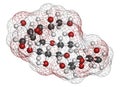 Maltodextrin food additive molecule. Atoms are represented as spheres with conventional color coding: hydrogen white, carbon .