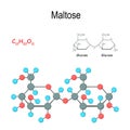 Maltose. Chemical structural formula and model of molecule