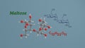 Maltose sugar science molecule 3D render illustration