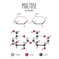 Maltose skeletal and flat representation. Royalty Free Stock Photo