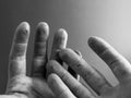 Maltreated hands Royalty Free Stock Photo
