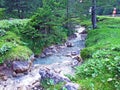 The Malunbach stream between the alpine villages of Steg and Malbun in the Liechtenstein Alps - Steg, Liechtenstein Royalty Free Stock Photo