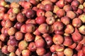 MANY Red colour HONEY apple in the store. Royalty Free Stock Photo