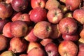 Malus domestica ,Red colour apple in the store. Royalty Free Stock Photo