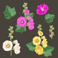 Malva Flowers and Leaves Set. Summer Floral Design with Flowers. Watercolor Blooming Collection for Wallpaper, Fabric