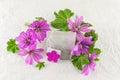 Malva sylvestris, mallow, flowers and teabag Royalty Free Stock Photo