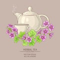 Malva tea illustration