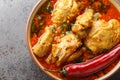 Malvani Masala spicy Chicken curry with coconut closeup on the bowl. Horizontal top view Royalty Free Stock Photo