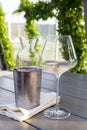 Malvasia, istrian white wine Royalty Free Stock Photo