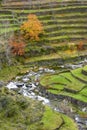 Malvellido river as it passes through the orchards of the town of El Gasco in Las Hurdes in autumn Royalty Free Stock Photo