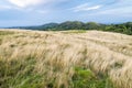 Malvern Hills at dusk, landscape,looking north from Herefordshire Beacon,England,United Kingdom Royalty Free Stock Photo