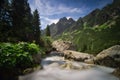 Maly Studeny potok creek and pine trees in Mala Studena Dolina valley in High Tatras