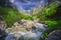 Maly Studeny potok creek and pine trees in Mala Studena Dolina valley in High Tatras