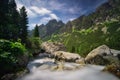 Maly Studeny potok creek and pine trees in Mala Studena Dolina valley in High Tatras