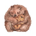 Mama bear and baby bear. Royalty Free Stock Photo