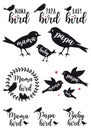 Mama bird, papa bird, baby, vector set