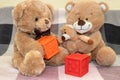 Mama, Papa and Baby Bear with Building Blocks Royalty Free Stock Photo