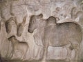 Ancient carvings of bulls on the wall of the Krishna Mandapa cave temple in the