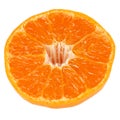 Mamami orange , japanese high quality citrus fruit