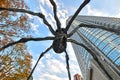 Maman, the Roppongi Hills Spider Sculpture Royalty Free Stock Photo